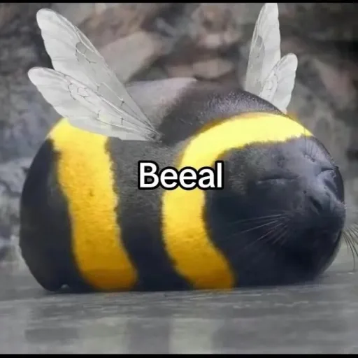 creator glefafessa's avatar