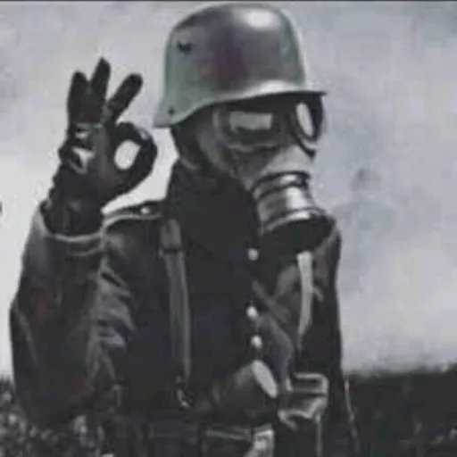 creator blanco y negro's avatar