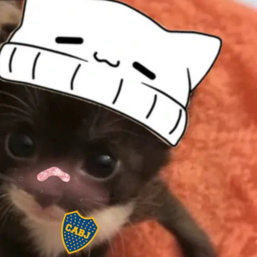 creator tercer309🦔's avatar
