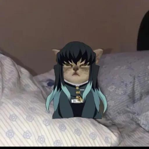 creator muichirosimp♥️❤️🌫️'s avatar