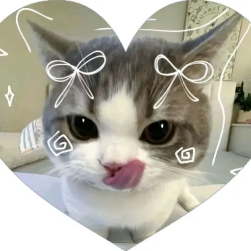 creator Jane 🌷🌹🌷's avatar
