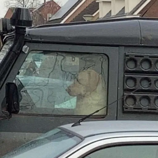 creator DogDriver1's avatar