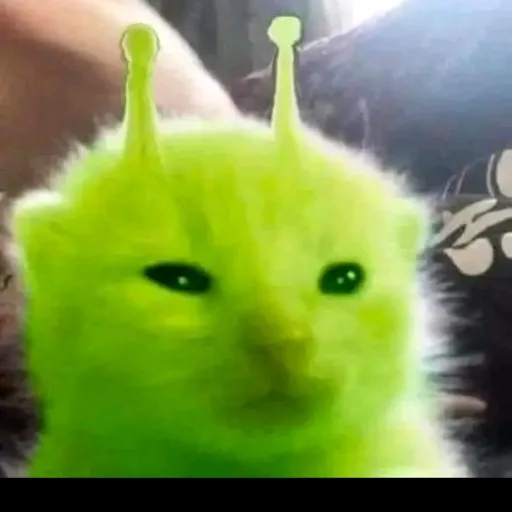 creator gatito alien 229's avatar