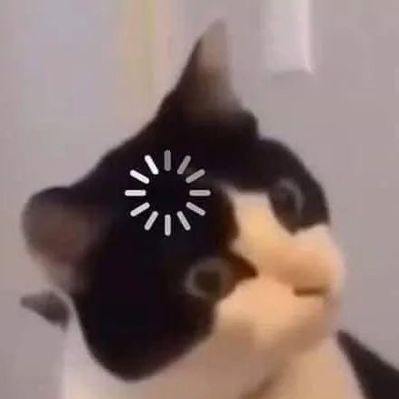 creator Confused Cat's avatar