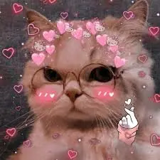 creator geliy's avatar