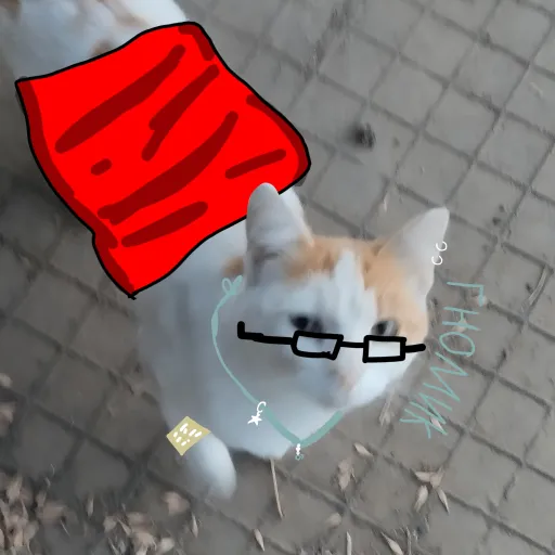 talkie's author avatar