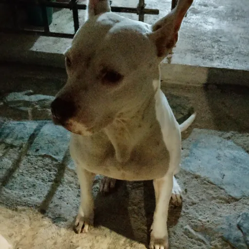 creator Giane :)'s avatar