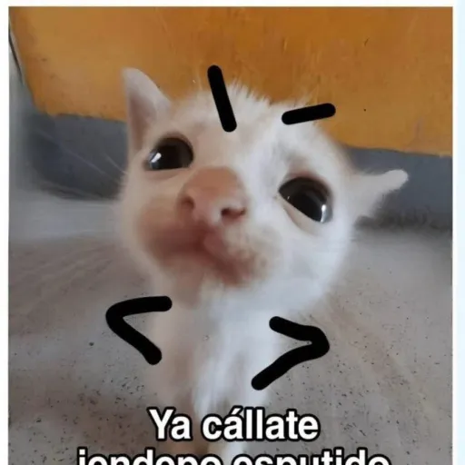 creator eljalapatas_3000's avatar