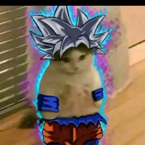 creator goku cat super's avatar
