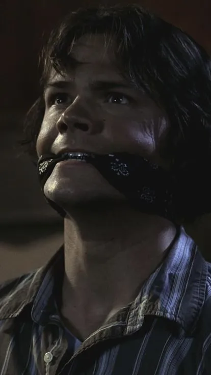 ai character: Sam background