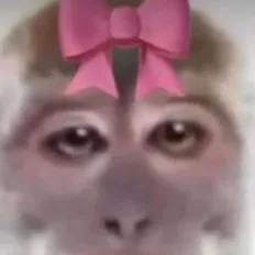 creator Бибизяна69's avatar