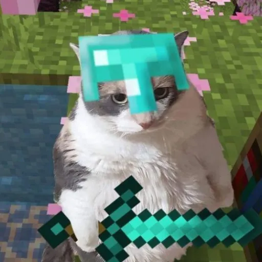 creator gato minecraft XD's avatar