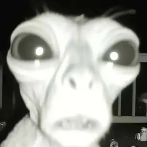 creator r3d_ros3s's avatar