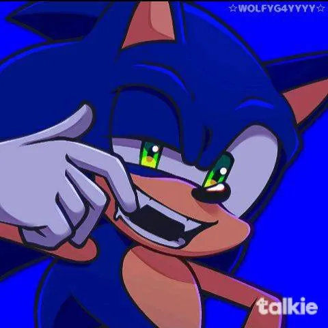 creator ~⚡Sonic⚡~'s avatar