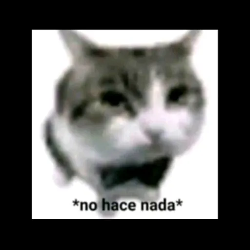 creator Amongus Dinámico's avatar
