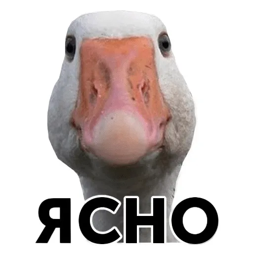 creator ЯрХуяр's avatar