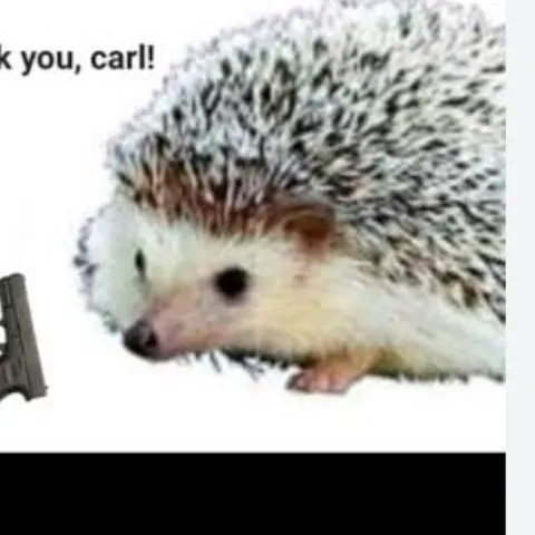 creator _Carl!_'s avatar