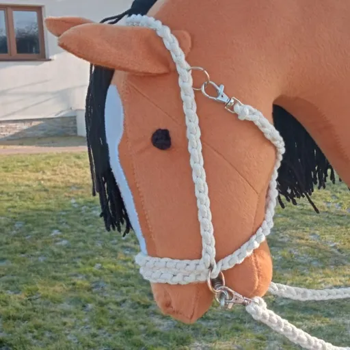 creator Koniara_Hobbyhorse's avatar