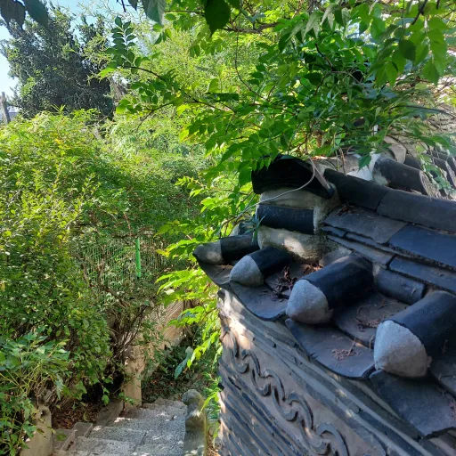 creator pookie ♡'s avatar