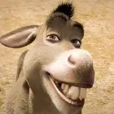 creator Talkior-If7awSE9's avatar