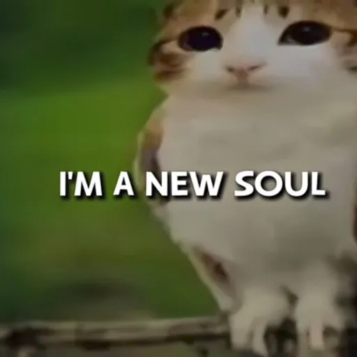 creator ilovemeowl's avatar