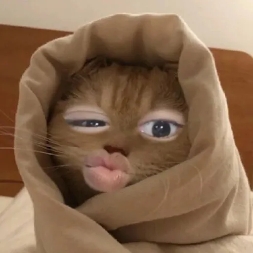 creator Barbzbeque's avatar