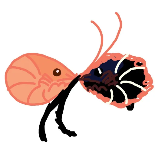 creator Talkior-vVcydh0h's avatar