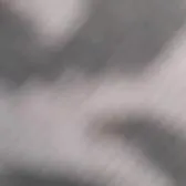 creator cringycringecringe's avatar