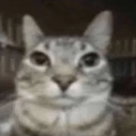creator Almond✨️🤍's avatar