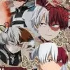 chat with ai character: Shoto todoroki