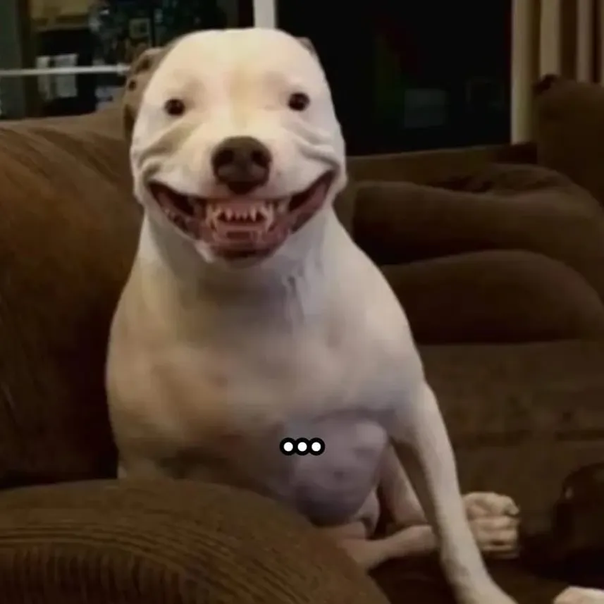 chat with ai character: Stupid The Dog