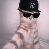 creator Talkior-Yxoq0li1's avatar