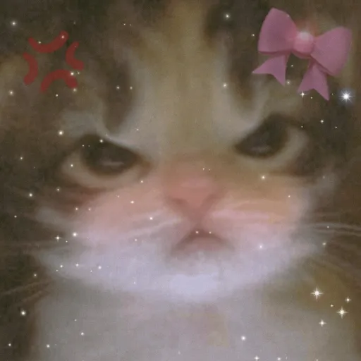 creator _love❤ ✿cats❀'s avatar