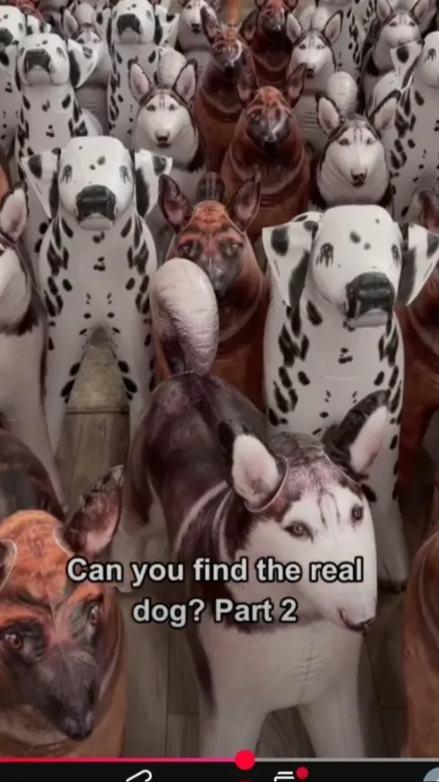 ai character: The clan sad talki background