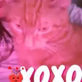 creator 🧸❤️🎀𝒩𝒶𝓉𝒸𝒽ℴ🎀❤️🧸's avatar
