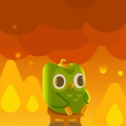 creator Duolingotevaaviola's avatar