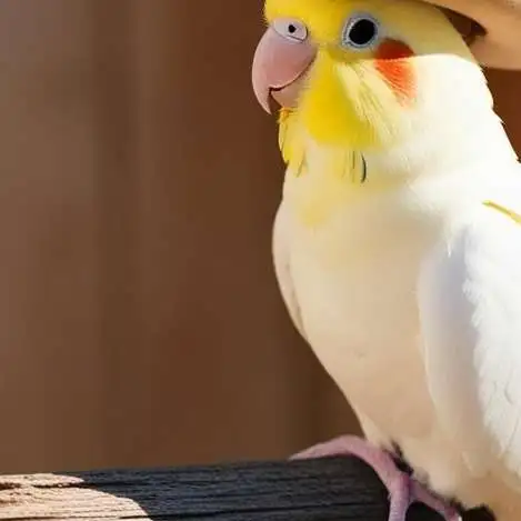 chat with ai character: Banana