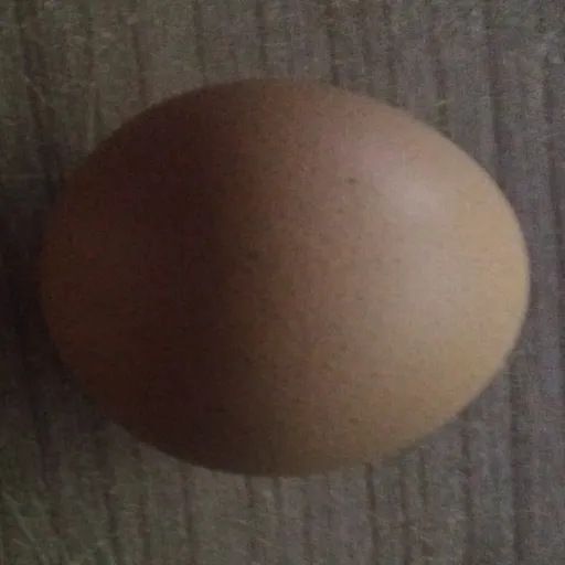 creator I_Eat_Egg's avatar