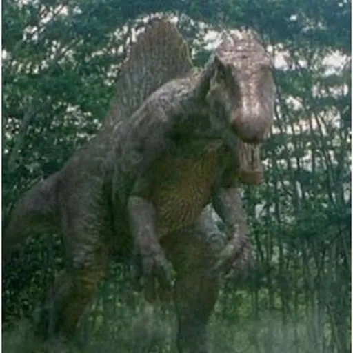 creator Talkior-nMObSdcn's avatar