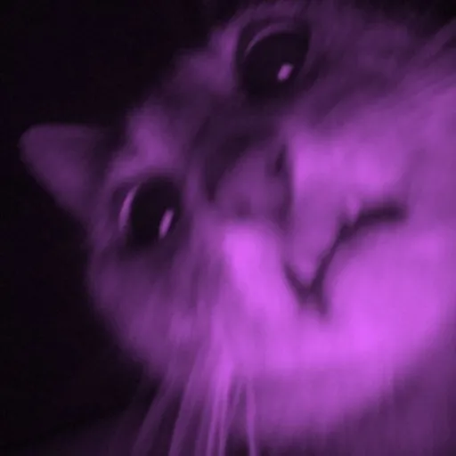 creator 𝐢𝐚𝐦𝐝𝐞𝐥𝐮𝐥𝐮𝐱𝐛𝐢𝐠𝐛𝐚𝐜:𝟑's avatar