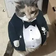 creator gato guaton's avatar