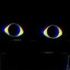 creator [>]'s avatar