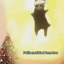 creator Hachiware de temu🩵's avatar