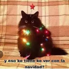 creator Hachiware de temu🩵's avatar