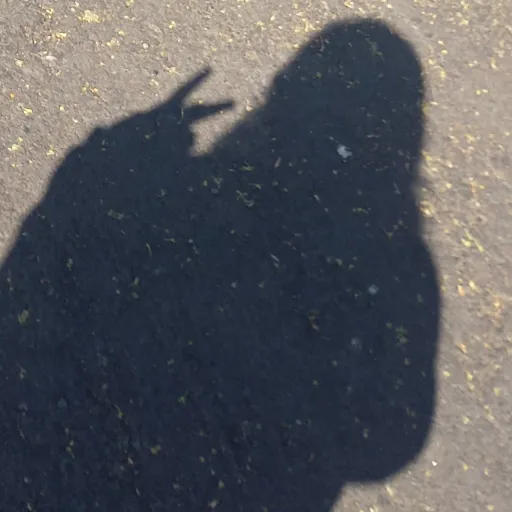 creator <{☆} chloee {☆}>'s avatar