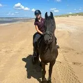 creator De horse gekkie's avatar