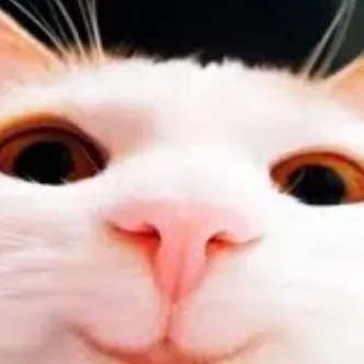 creator Śmieszek's avatar