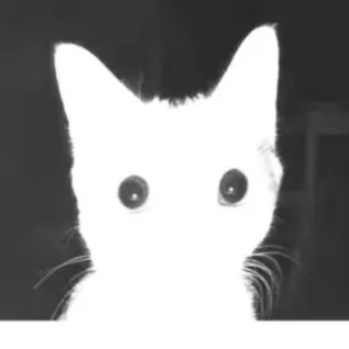 creator ◇{Sebastian}>◇'s avatar