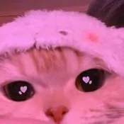 creator ~🌸†❣𝚋𝚕𝚊𝚌𝚔𝚜𝚒𝚝𝚊❣†🌸~'s avatar
