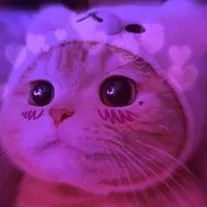 creator ~๐ธโ โฃ๐๐๐๐๐๐๐๐๐โฃโ ๐ธ~'s avatar
